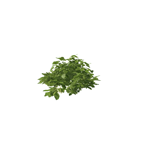 Plant 24_LOD_1